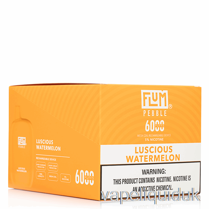[10-Pack] Flum Pebble 6000 Disposable Vape Liquid